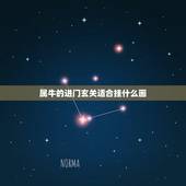 属牛的进门玄关适合挂什么画，属牛床头挂属马画好不好