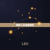 属蛇人天生聪明吗，为什么属蛇的人很厉害