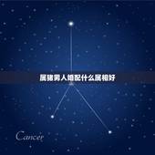 属猪男人婚配什么属相好，男属蛇和女属猪的夫妻生属哪个属相