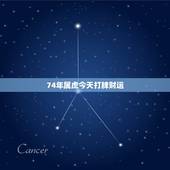 74年属虎今天打牌财运，属虎今天打麻将财运