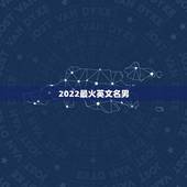 2022最火英文名男，2023年更流行的英文名男