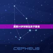 属猴35岁时候生孩子属相，双方都属猴 生个什么属相的孩子好？