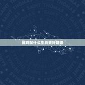 属鸡配什么生肖更好婚姻，十二生肖配对