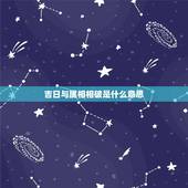 吉日与属相相破是什么意思，生肖与生肖相破什么意思