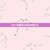 2021年属什么命五行缺什么，2021年五行属什么，缺什么