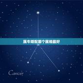 属牛婚配哪个属相最好，女人生肖属牛和什么生肖婚配最好