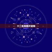 十二生肖图片动物 十二生肖图片来看一下
