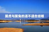 属虎与属兔的适不适合结婚，男属兔女属虎结婚好吗