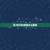 左3右5共8画是什么属相，左3右5共8划