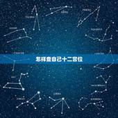 怎样查自己十二宫位，怎么知道自己的命宫主星