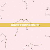 男属龙和女属鼠的属相合不合，属龙和属鼠相配吗