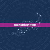 属鼠的和属马的合婚吗，属鼠和属马结婚好吗