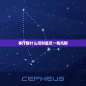 客厅摆什么招财最灵一帆风顺，客厅摆什么植物好、可以旺财啊？一帆风顺，绿