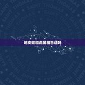 地支蛇和虎属相合适吗，属虎和属蛇的合不合？