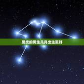 属虎的男生几月出生更好，属虎的男孩正月出生吉日