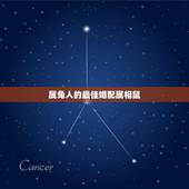 属兔人的最佳婚配属相鼠，属兔和属鼠的人可以结婚吗？