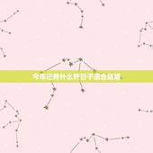 今年还有什么好日子适合结婚，今年还有什么好日子可以结婚的吗？