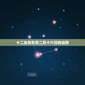 十二生肖农历二月十六日的运势，2021年3月16日生肖运势