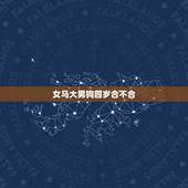 女马大男狗四岁合不合，马女比男狗大四岁，是二婚在一起可以吗在一起能幸福
