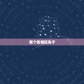 哪个属相旺兔子，哪个属相的人命运更好