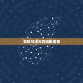 男属马适合的婚配属相，属马的男人和什么属相最配