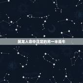 属龙人命中注定的另一半是牛，女人最有福出生时辰