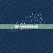 属狗和龙相配婚姻如何，82男狗88女龙婚姻状况