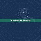 塔罗测未来老公在哪视频，塔罗占卜实例：未来的另一半是什么样子的