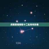 虎猴属相婚配十二生肖年龄表，虎猴婚姻相配好吗