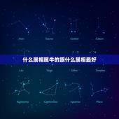 什么属相属牛的跟什么属相最好，属牛和什么属相最配