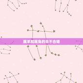 属羊和属兔的合不合婚，属兔的和什么属相羊配