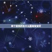 两个属狗的生什么属相宝宝好，我属羊我老公属猴，请问我们生什么属相的孩子