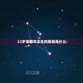 22岁是哪年出生的属相是什么，22岁的属相是什么？
