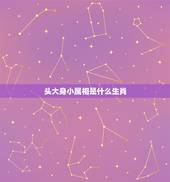 头大身小属相是什么生肖，十二生肖长头尖面的动物