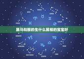 属马和猴的生什么属相的宝宝好，男属马女属猴生什么属相的小孩好