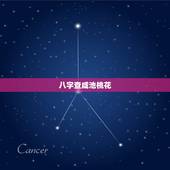 八字查咸池桃花，八字带很多桃花咸池。算命的说我会二婚？烦请*看看