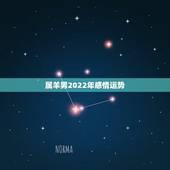 属羊男2022年感情运势，2022年对属羊的人好不好