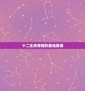 十二生肖婚姻的最佳属相，十二生肖姻缘配对？