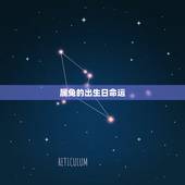 属兔的出生日命运，属兔人几日出生大富大贵
