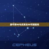 庚午男90与戊寅女98可婚配吗，男生八字 庚午 戊寅 癸丑 戊午八字怎