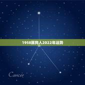 1958属狗人2022年运势，58年属狗2021年运势及运程