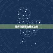 莲师法器适合什么生肖，莲花生大师所拿法器都是代表什么意义