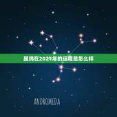 属鸡在2021年的运程是怎么样，1993年属鸡人在2021年的全年运势