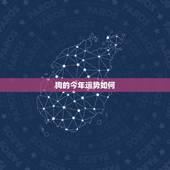狗的今年运势如何，属猪人今日运势