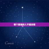 哪个属相的人不能玩情，属龙人和什么属相不合