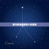 属马更佳婚配前十名属相，女属马更佳配偶是什么