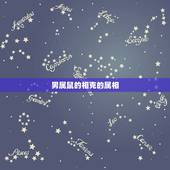 男属鼠的相克的属相 属鼠男和属狗女相配吗