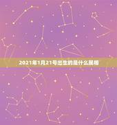 2021年1月21号出生的是什么属相，2021年1月份出生的宝宝是什么
