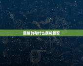 属猪的和什么属相最配 属猪人2022年感情运势
