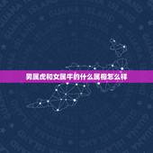 男属虎和女属牛的什么属相怎么样，女属牛和男属虎的生肖相配吗
